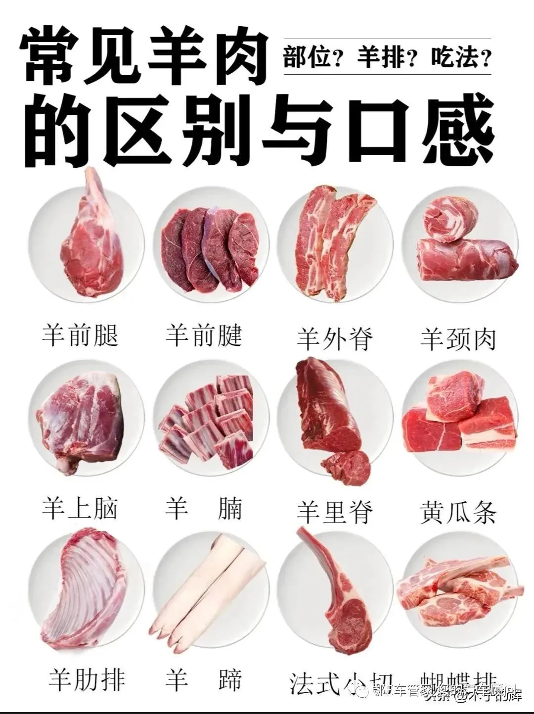 湖北省2023届高三4月调研模拟考试(湖北四调)数学试题 第17张