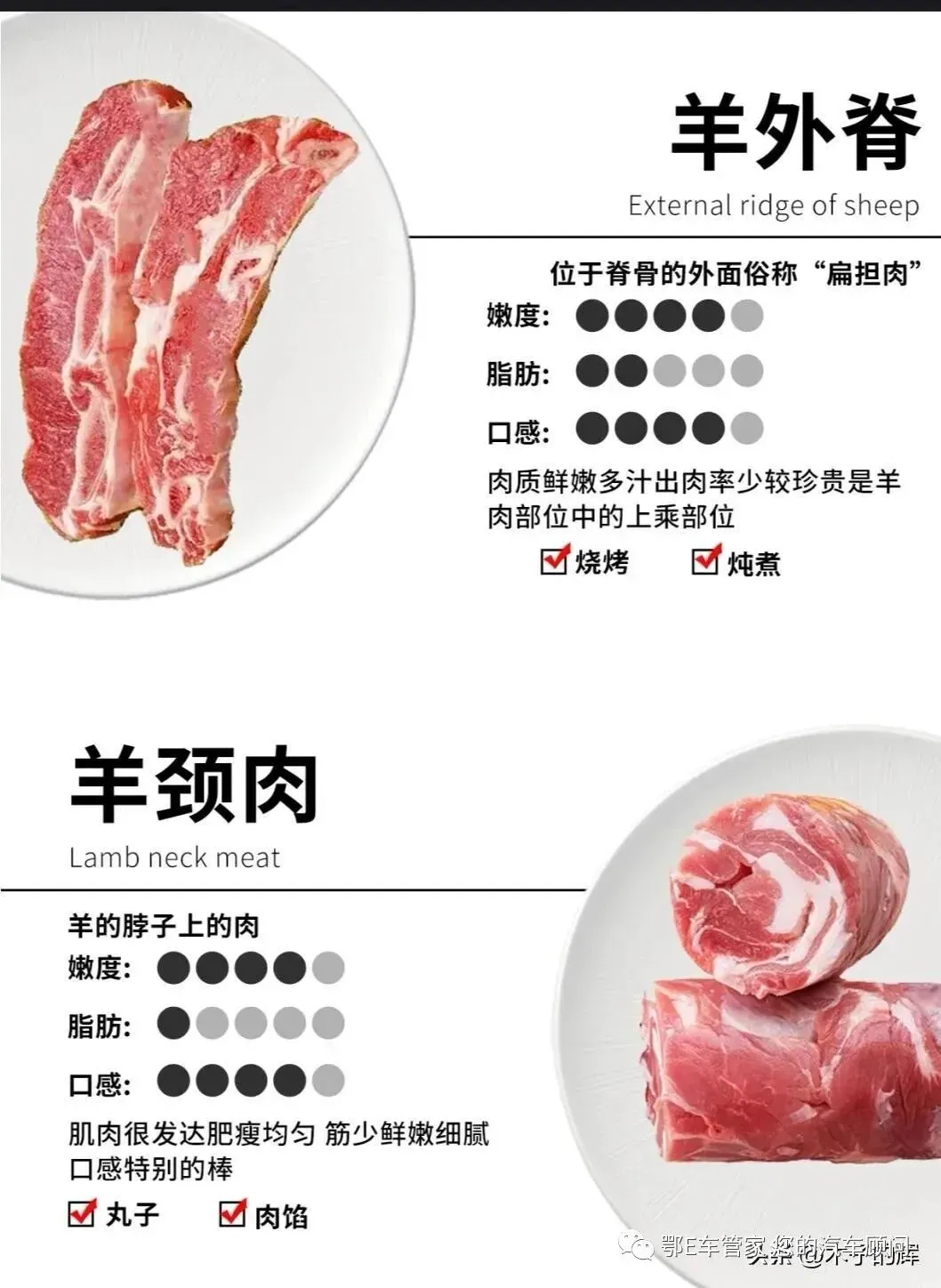 湖北省2023届高三4月调研模拟考试(湖北四调)数学试题 第18张