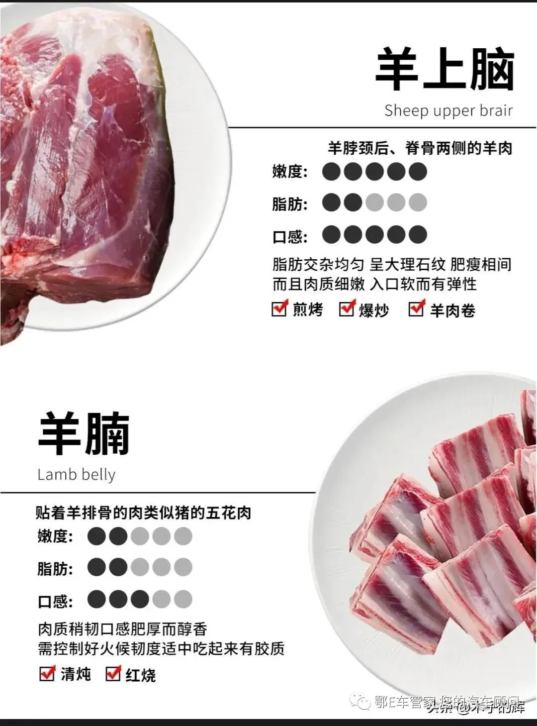 湖北省2023届高三4月调研模拟考试(湖北四调)数学试题 第20张