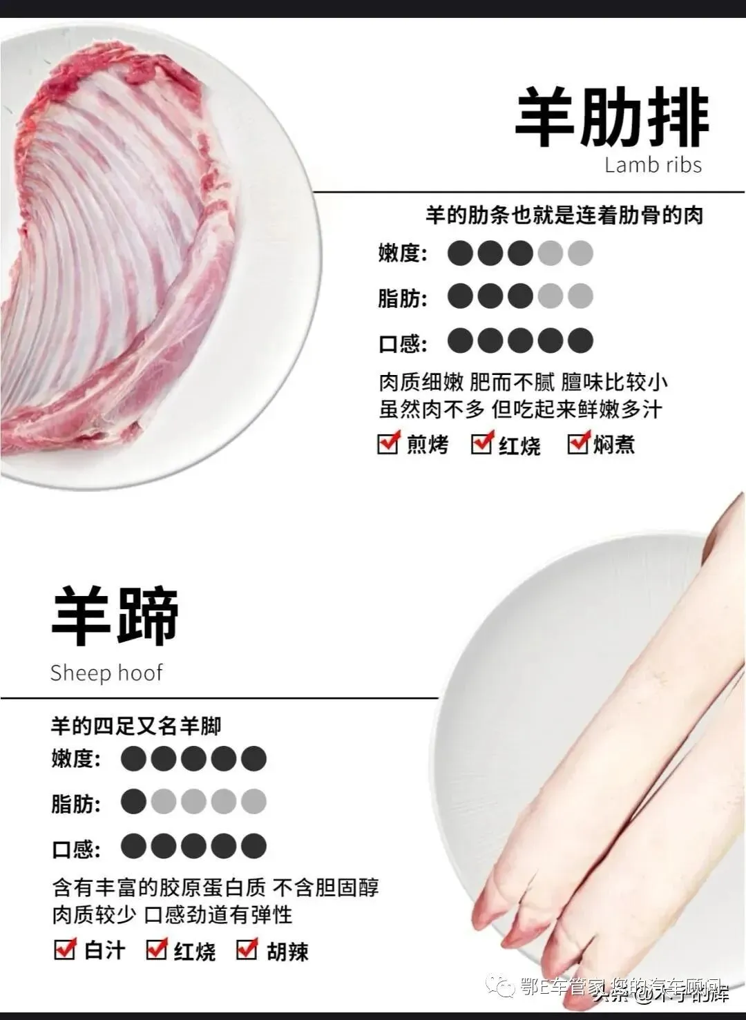 湖北省2023届高三4月调研模拟考试(湖北四调)数学试题 第22张