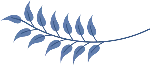 中考英语听口 | 二考难度解析+40分满分备考指南 第8张