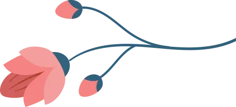 中考英语听口 | 二考难度解析+40分满分备考指南 第9张