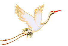 星辰战队中考百日誓师大会 第12张