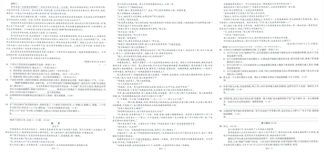 2026版《江苏13大市中考试卷与标准模拟优化38套》提优版语文 第4张