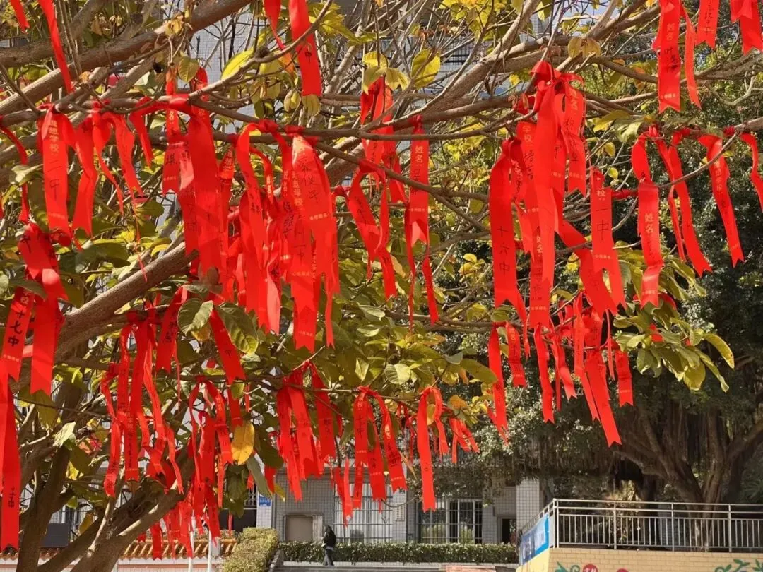 凝心聚力战百日,六月中考铸辉煌——梧州市第十中学举行中考百日动员大会 第31张