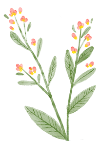 同心共育 聚力中考 第3张