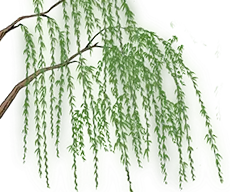 同心共育 聚力中考 第6张