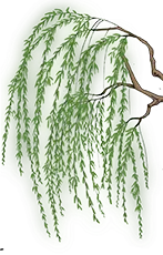 同心共育 聚力中考 第7张