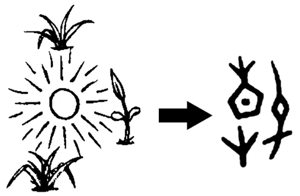 七下期中真题汇编-积累运用综合+综合性学习38组(浙江专用) 第25张
