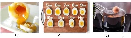 七下期中真题汇编-非连续性文本阅读20组(浙江专用) 第19张
