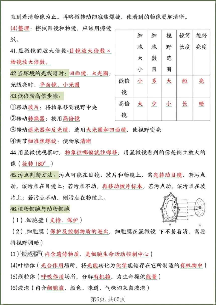中考生物|2026春《生物会考》中考复习7-8年级高频知识点考点汇总(背诵+默写版)电子版可下载打印! 第8张