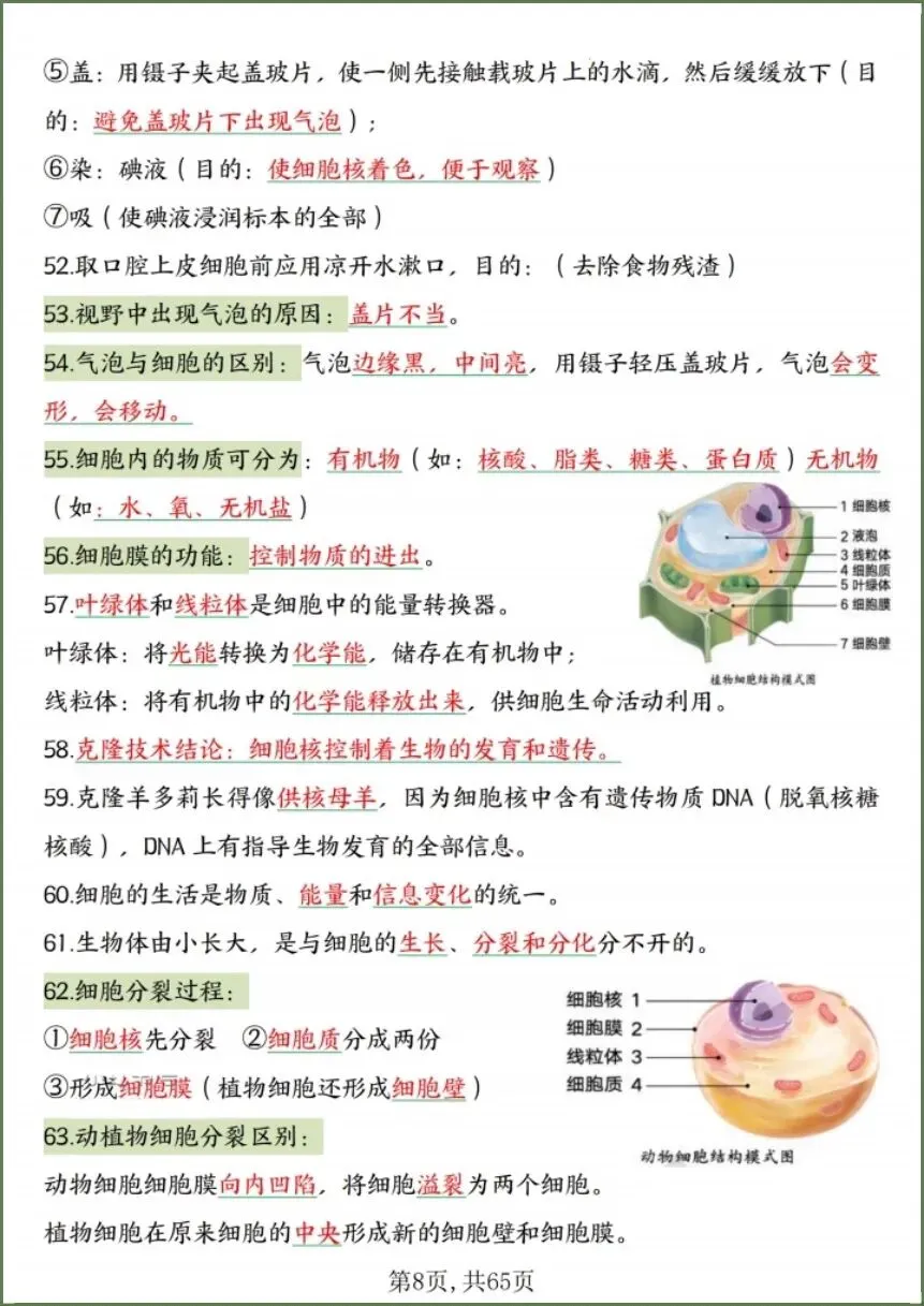 中考生物|2026春《生物会考》中考复习7-8年级高频知识点考点汇总(背诵+默写版)电子版可下载打印! 第10张