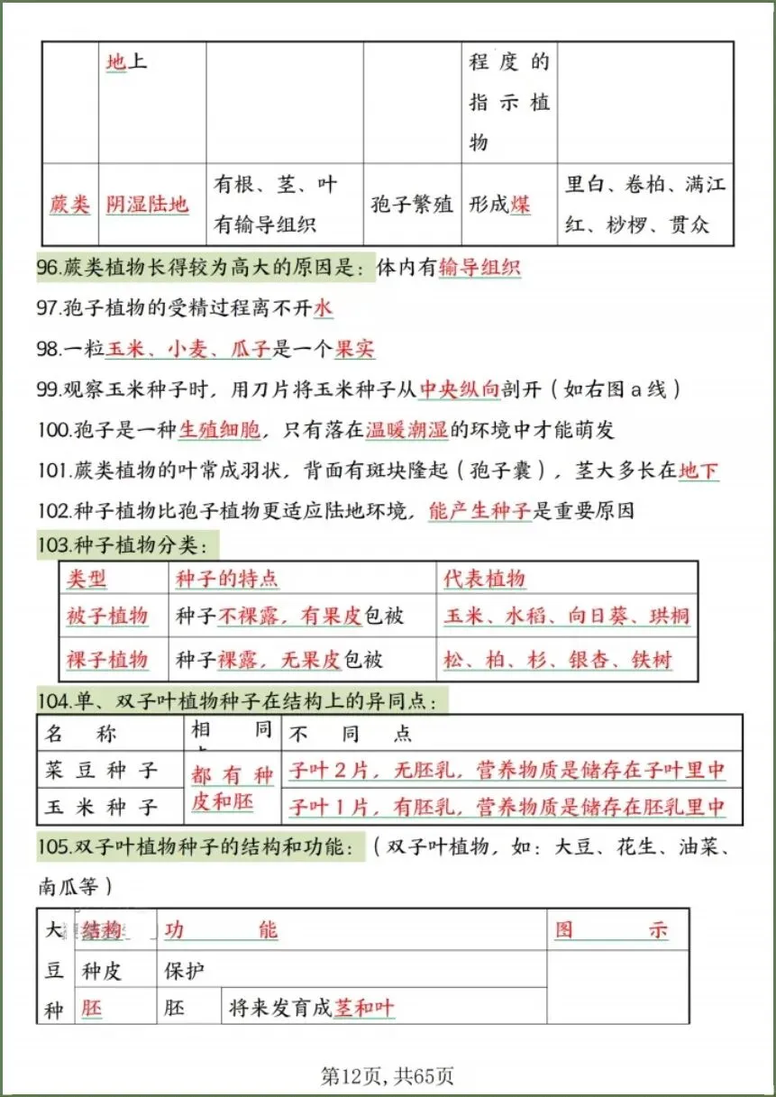 中考生物|2026春《生物会考》中考复习7-8年级高频知识点考点汇总(背诵+默写版)电子版可下载打印! 第14张