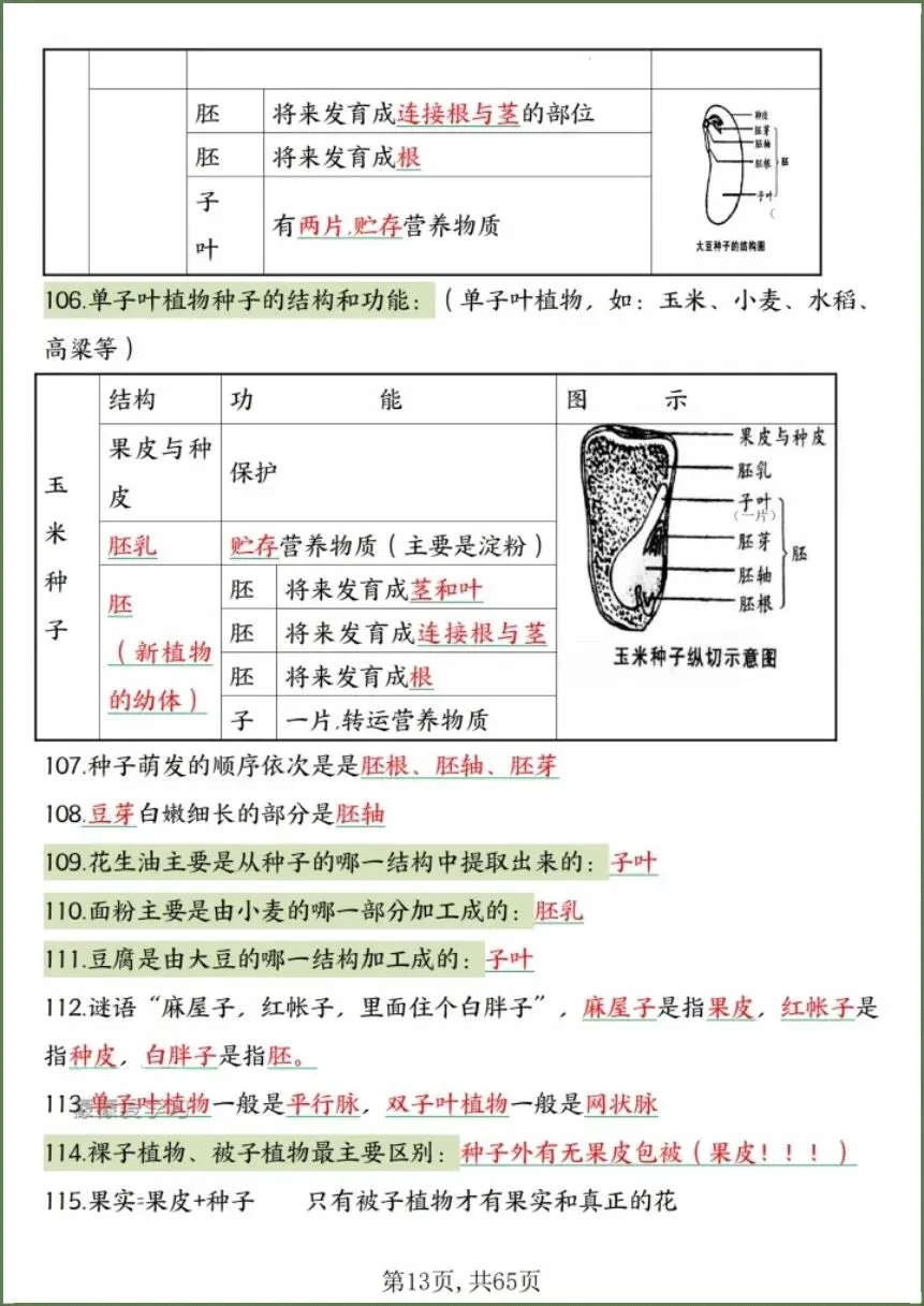 中考生物|2026春《生物会考》中考复习7-8年级高频知识点考点汇总(背诵+默写版)电子版可下载打印! 第15张