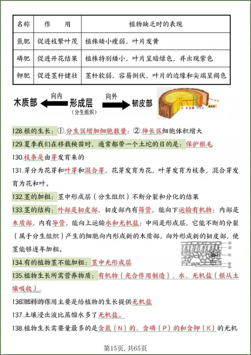 中考生物|2026春《生物会考》中考复习7-8年级高频知识点考点汇总(背诵+默写版)电子版可下载打印! 第16张