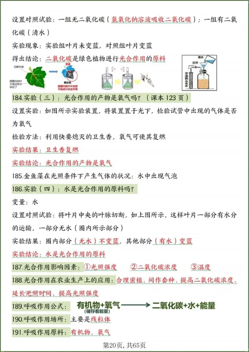 中考生物|2026春《生物会考》中考复习7-8年级高频知识点考点汇总(背诵+默写版)电子版可下载打印! 第19张