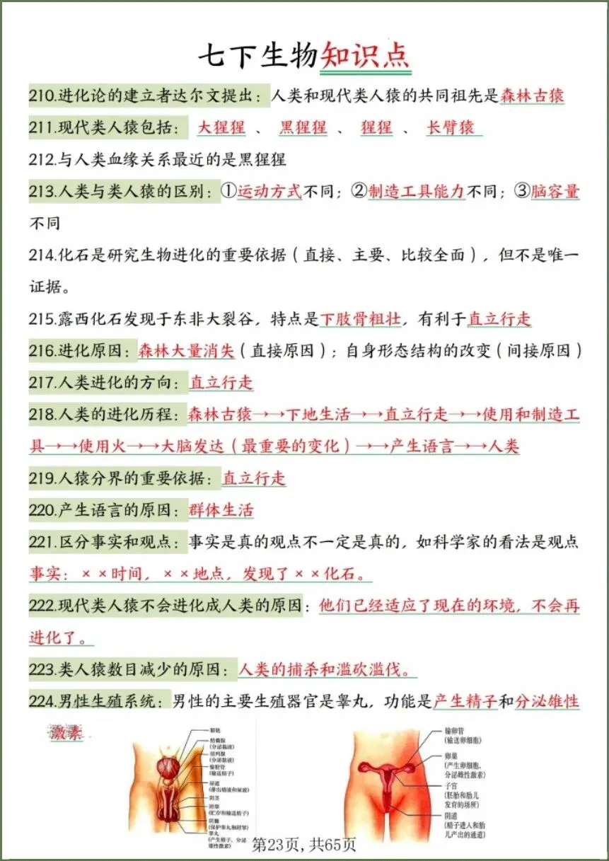 中考生物|2026春《生物会考》中考复习7-8年级高频知识点考点汇总(背诵+默写版)电子版可下载打印! 第21张