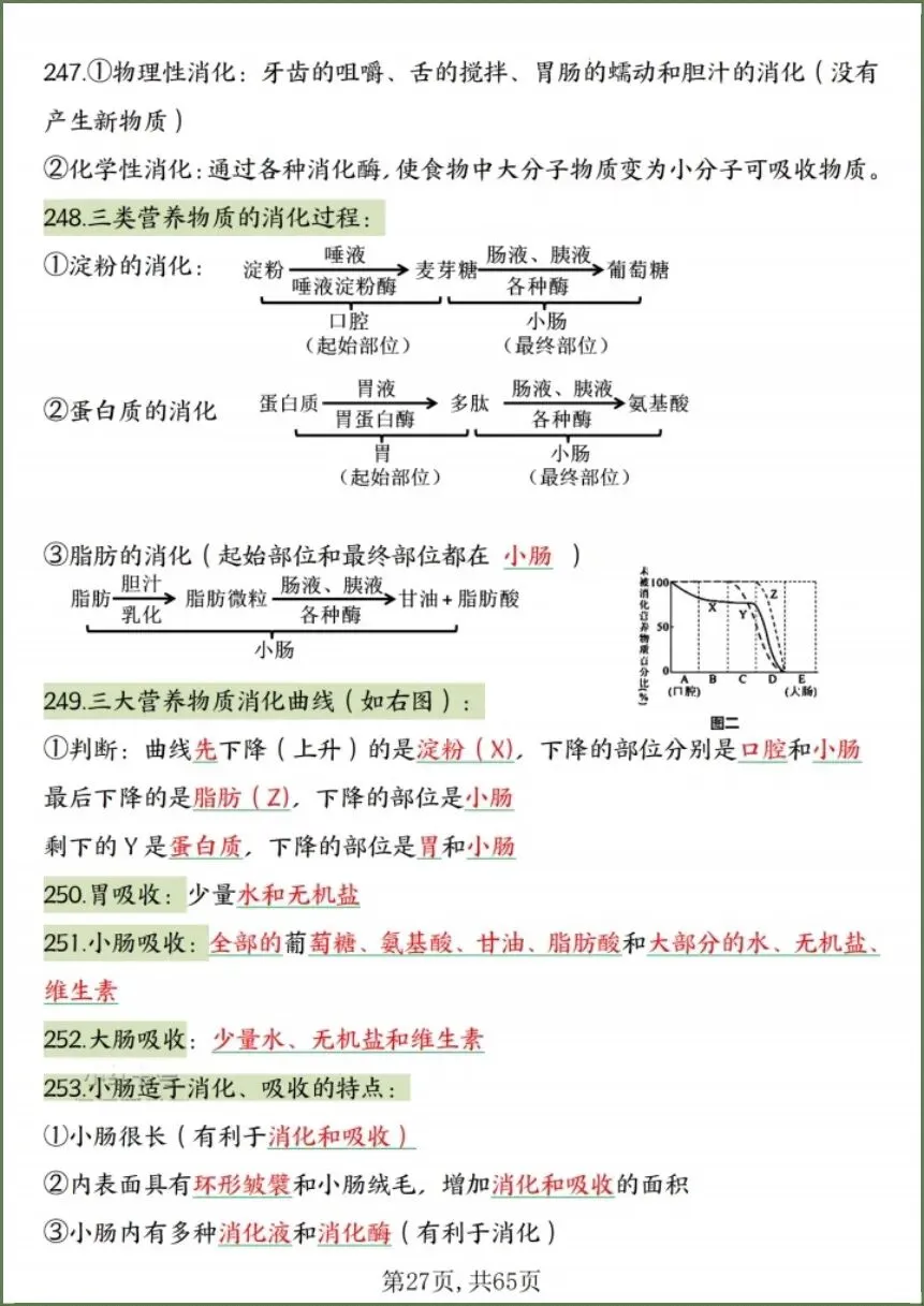中考生物|2026春《生物会考》中考复习7-8年级高频知识点考点汇总(背诵+默写版)电子版可下载打印! 第24张