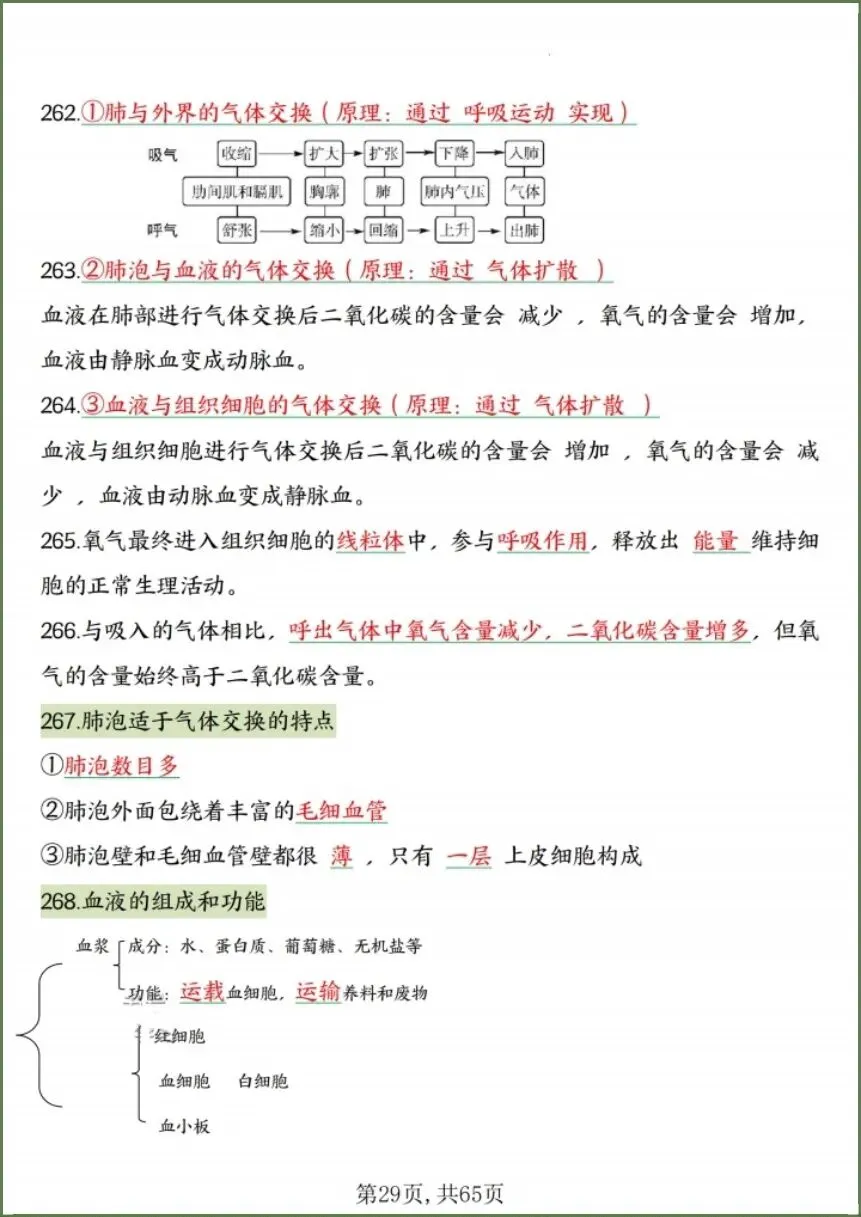 中考生物|2026春《生物会考》中考复习7-8年级高频知识点考点汇总(背诵+默写版)电子版可下载打印! 第25张