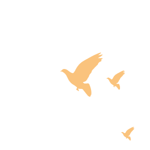 春潮涌动,战马催征!—九年级期末总结暨中考动员大会顺利举行 第4张