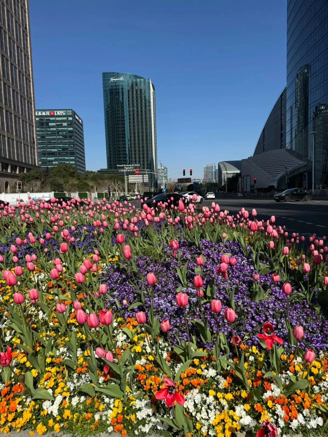 四校八大特色班深度对比!2026上海中考家长必看 第3张