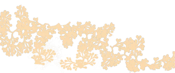 以梦为马,飞驰人生!我校隆重举行中考百日誓师大会 第2张