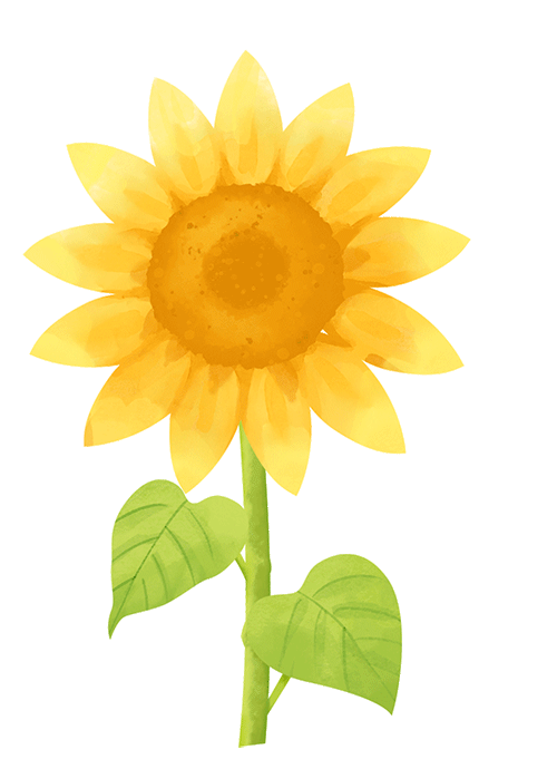 中考系列|26年命题作文“打开”题解与示例 第8张