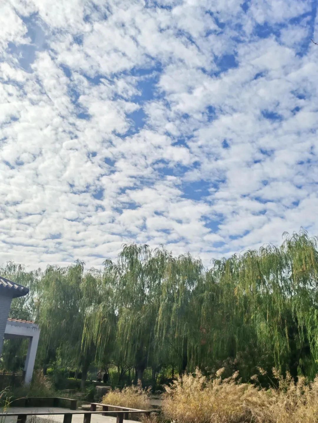 哈三中2026年高三学年第一次模拟考试语文 试卷 第2张