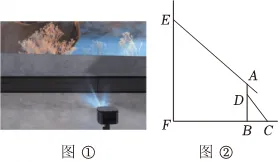 2025年安徽省合肥五十中西校中考数学一模试卷 第12张