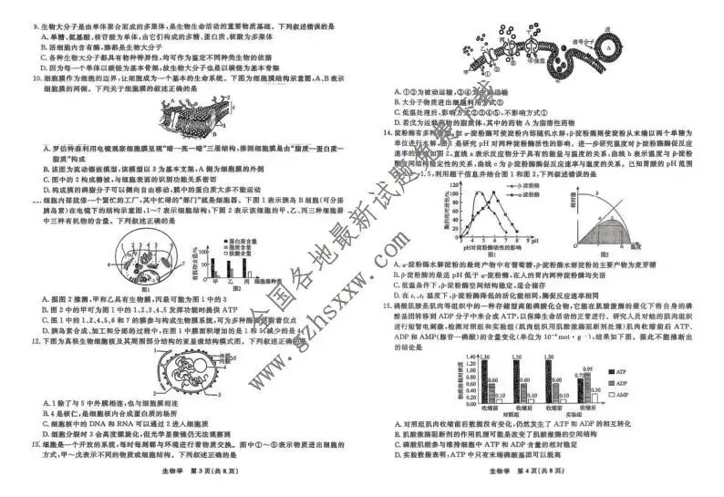 《高中试卷》辽宁省名校联盟2025-2026学年高一上学期12月联合考试生物试卷(含答案) 第3张