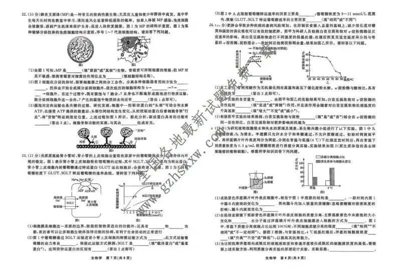 《高中试卷》辽宁省名校联盟2025-2026学年高一上学期12月联合考试生物试卷(含答案) 第5张