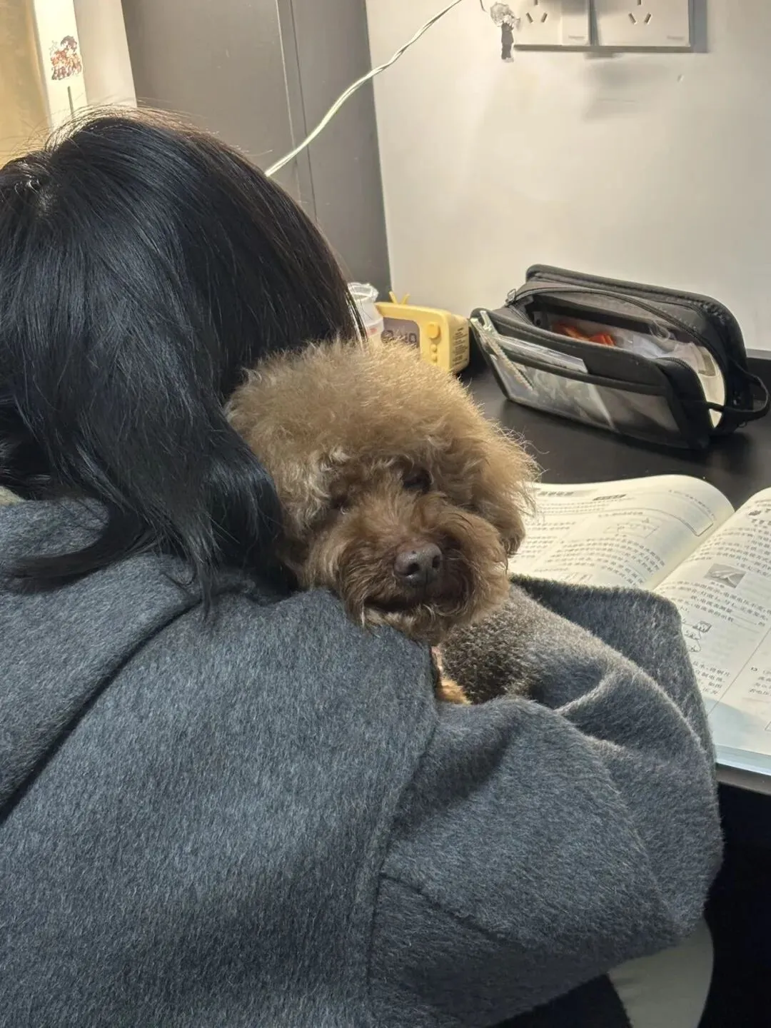 女儿中考倒计时95天—陪好朋友“打假妹”过生日 第5张