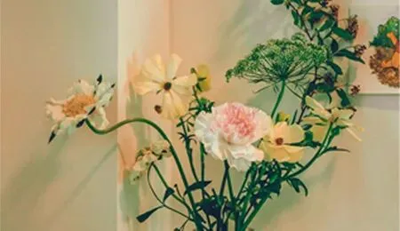 中考报名开始了!初三家长须知:这件事做不对,孩子可能考不了试 第34张 中考报名开始了!初三家长须知:这件事做不对,孩子可能考不了试 第34张