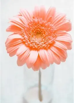 中考报名开始了!初三家长须知:这件事做不对,孩子可能考不了试 第42张 中考报名开始了!初三家长须知:这件事做不对,孩子可能考不了试 第42张