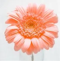 中考报名开始了!初三家长须知:这件事做不对,孩子可能考不了试 第43张 中考报名开始了!初三家长须知:这件事做不对,孩子可能考不了试 第43张