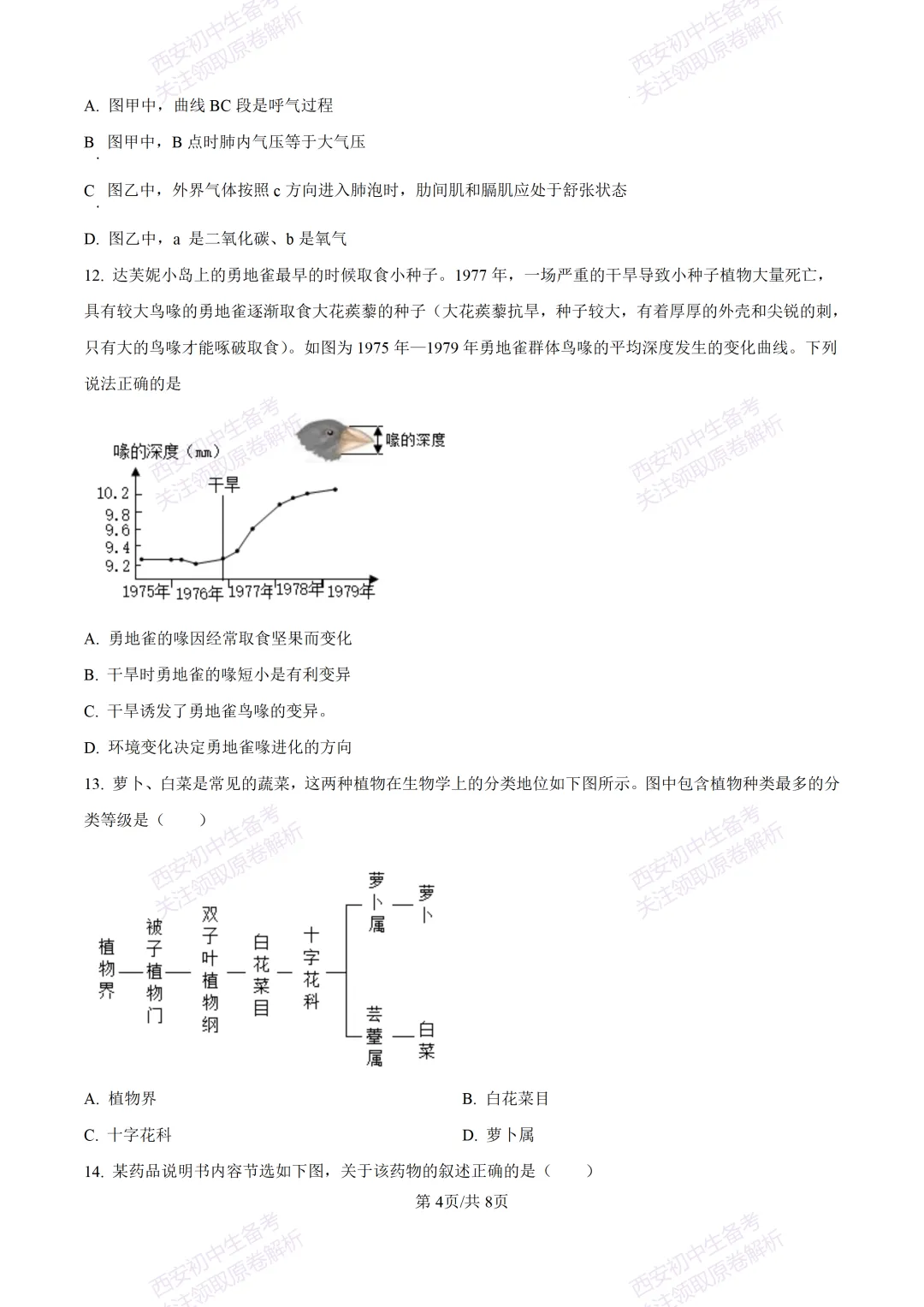 生物复习真题!西安2025中考模拟【高新一中】八年级四模考试,生物试题,试卷+完整版答案,免费下载! 第10张