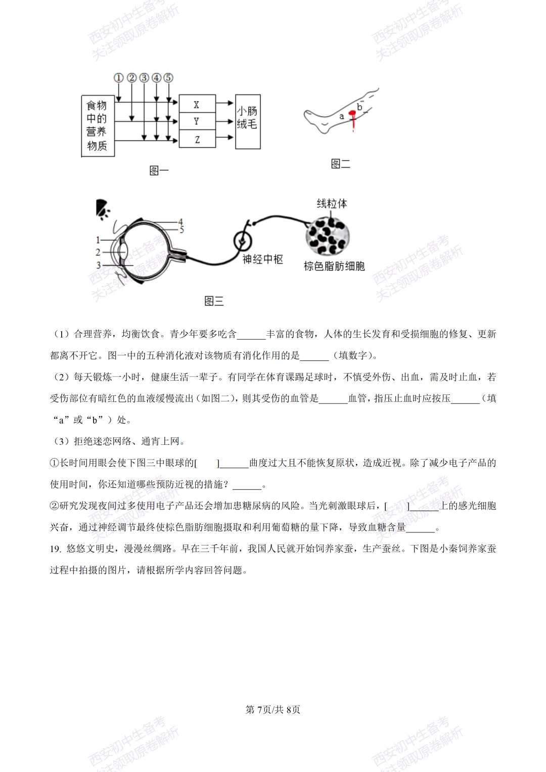 生物复习真题!西安2025中考模拟【高新一中】八年级四模考试,生物试题,试卷+完整版答案,免费下载! 第13张