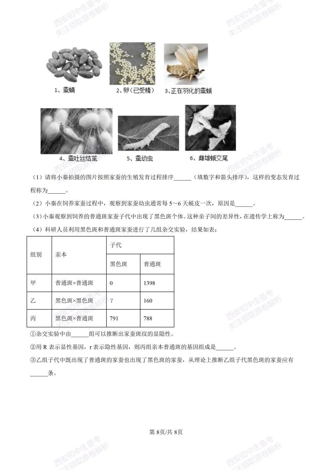 生物复习真题!西安2025中考模拟【高新一中】八年级四模考试,生物试题,试卷+完整版答案,免费下载! 第14张
