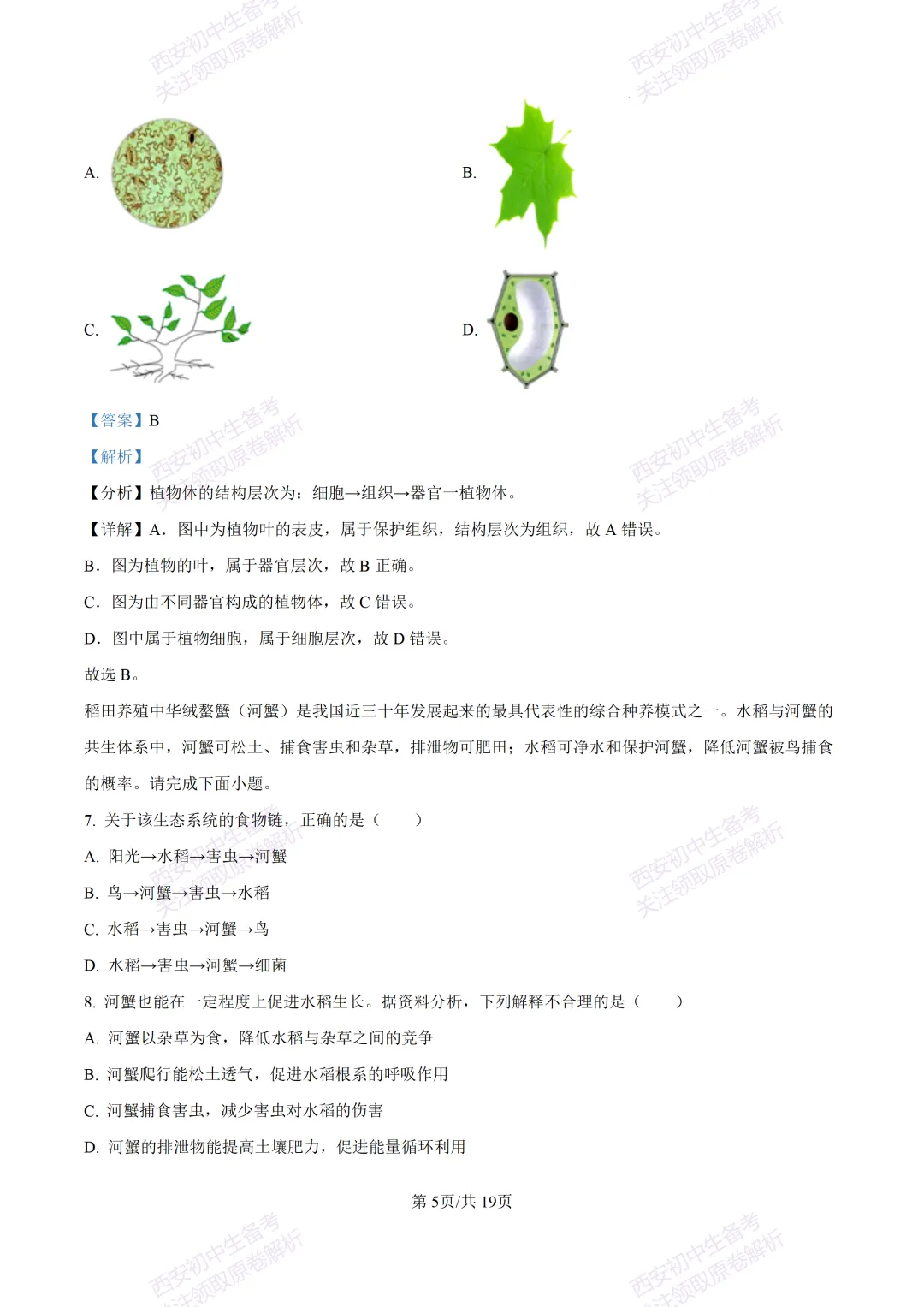 生物复习真题!西安2025中考模拟【高新一中】八年级四模考试,生物试题,试卷+完整版答案,免费下载! 第20张