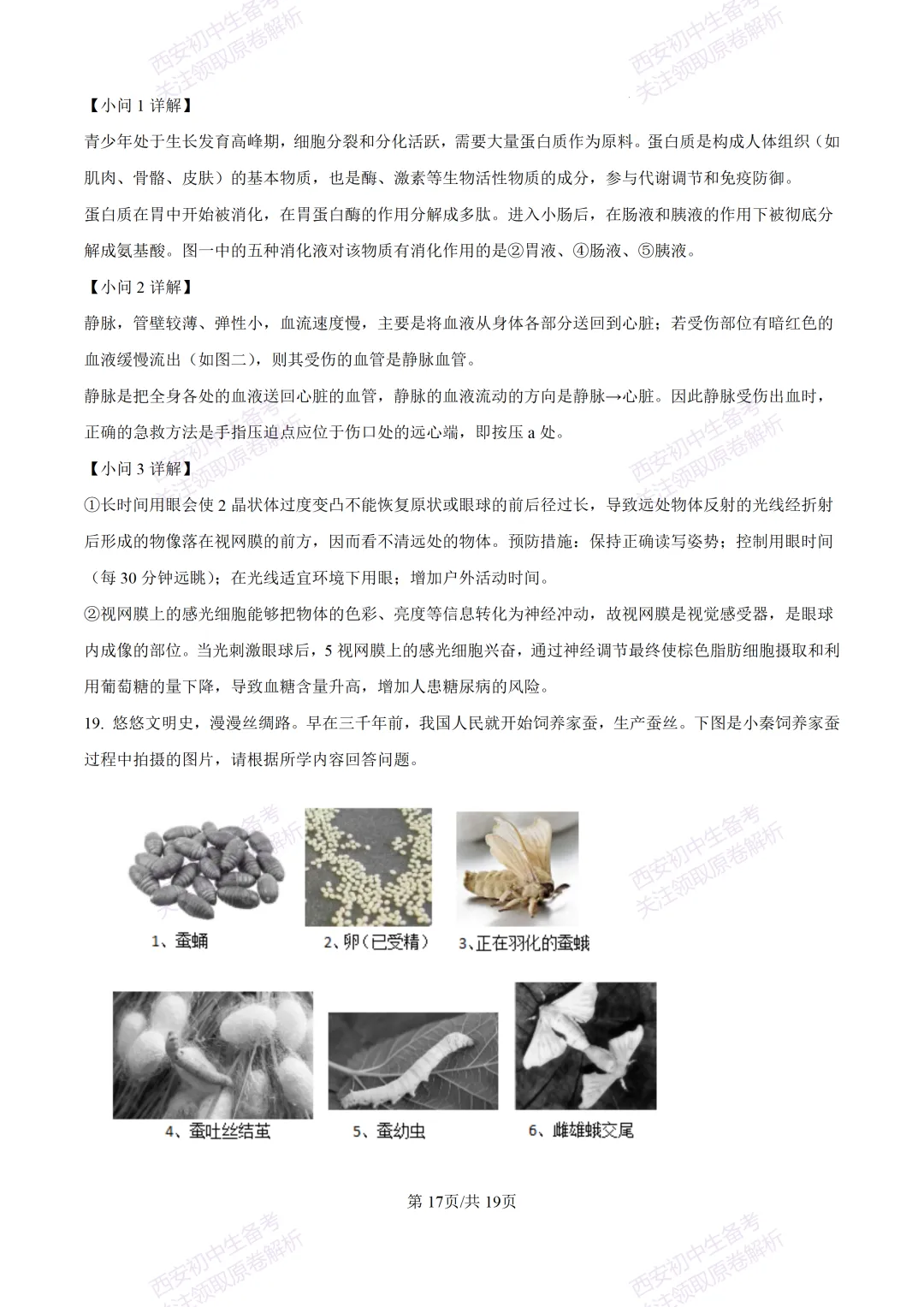 生物复习真题!西安2025中考模拟【高新一中】八年级四模考试,生物试题,试卷+完整版答案,免费下载! 第32张