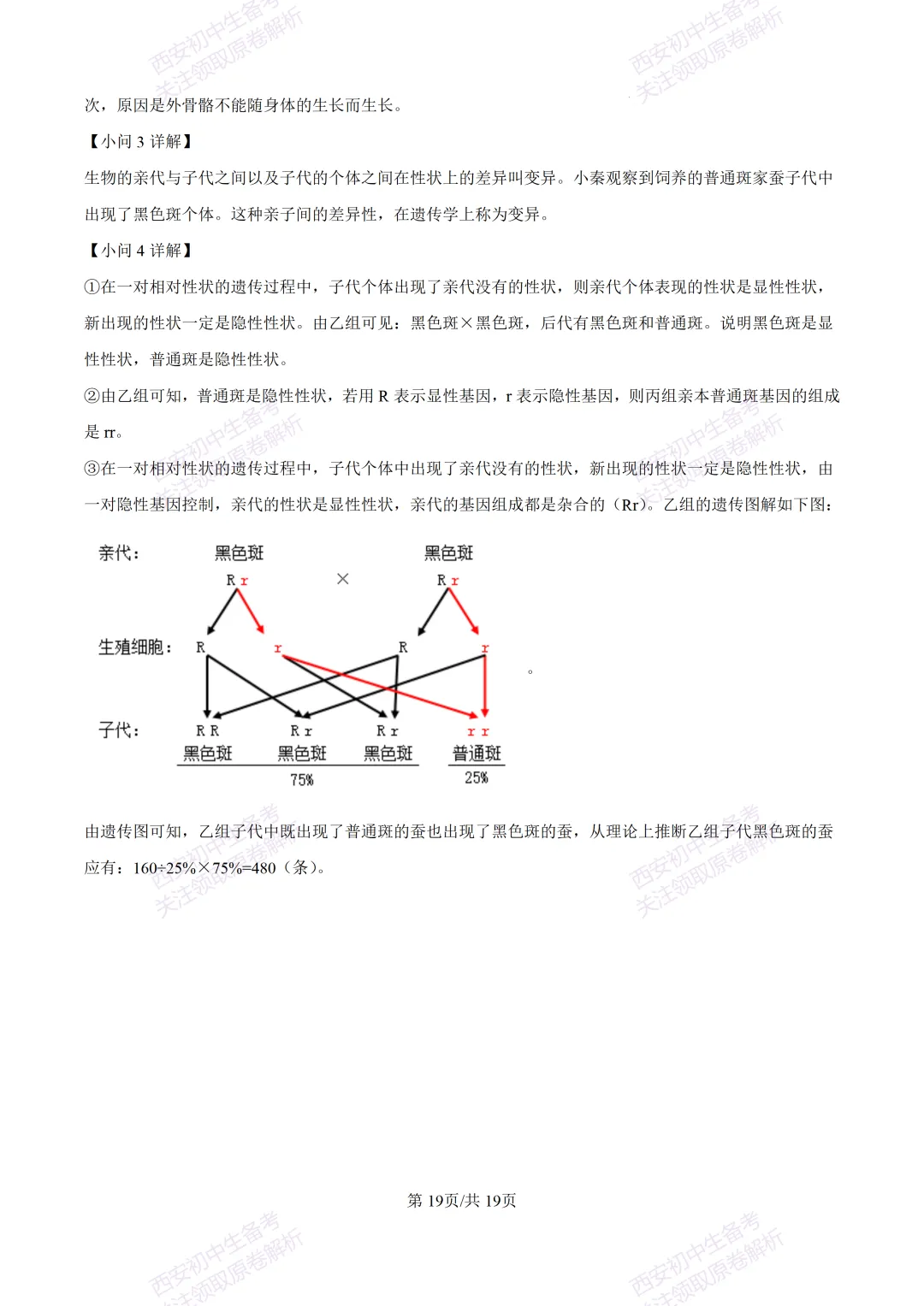 生物复习真题!西安2025中考模拟【高新一中】八年级四模考试,生物试题,试卷+完整版答案,免费下载! 第34张