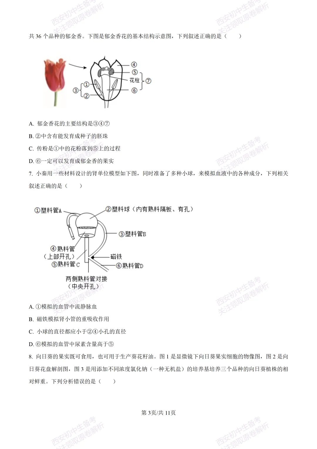 生物复习真题!西安2025中考模拟【高新一中】八年级五模考试,生物试题,试卷+完整版答案,免费下载! 第9张