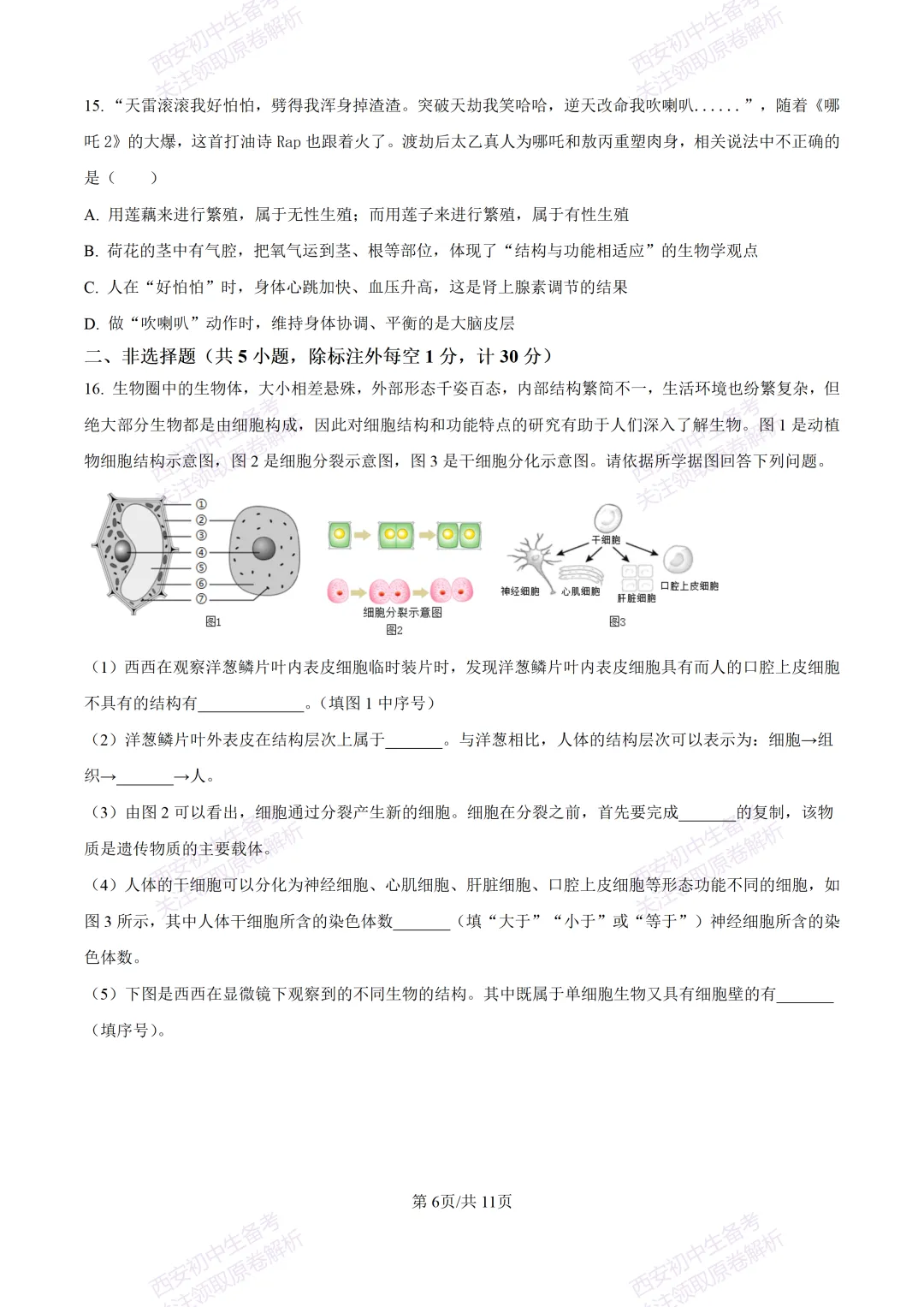 生物复习真题!西安2025中考模拟【高新一中】八年级五模考试,生物试题,试卷+完整版答案,免费下载! 第12张