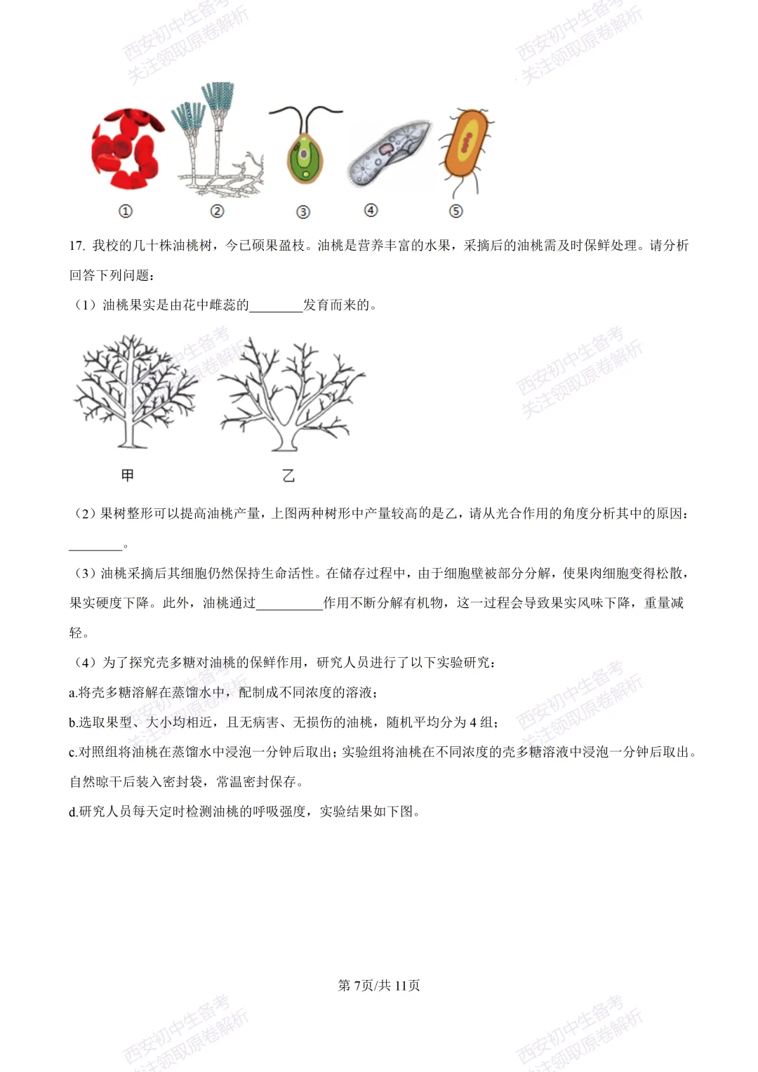 生物复习真题!西安2025中考模拟【高新一中】八年级五模考试,生物试题,试卷+完整版答案,免费下载! 第13张