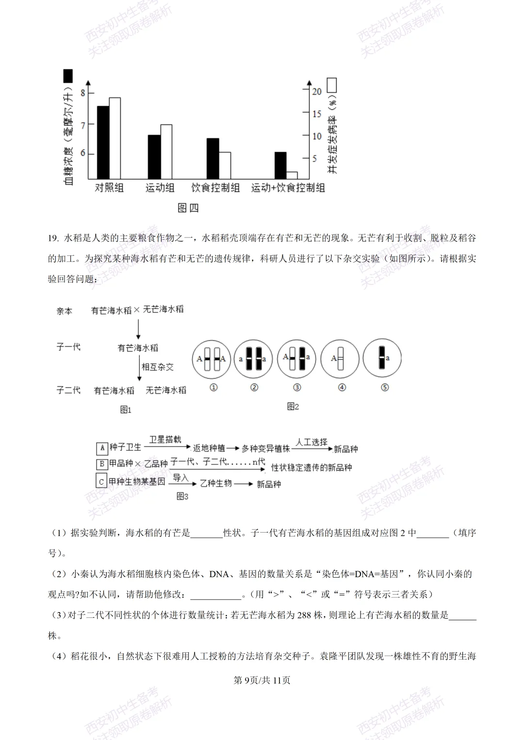 生物复习真题!西安2025中考模拟【高新一中】八年级五模考试,生物试题,试卷+完整版答案,免费下载! 第15张