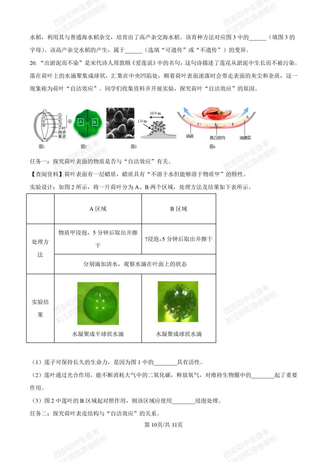 生物复习真题!西安2025中考模拟【高新一中】八年级五模考试,生物试题,试卷+完整版答案,免费下载! 第16张
