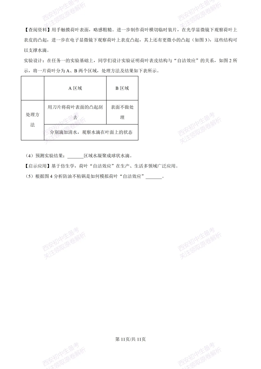 生物复习真题!西安2025中考模拟【高新一中】八年级五模考试,生物试题,试卷+完整版答案,免费下载! 第17张