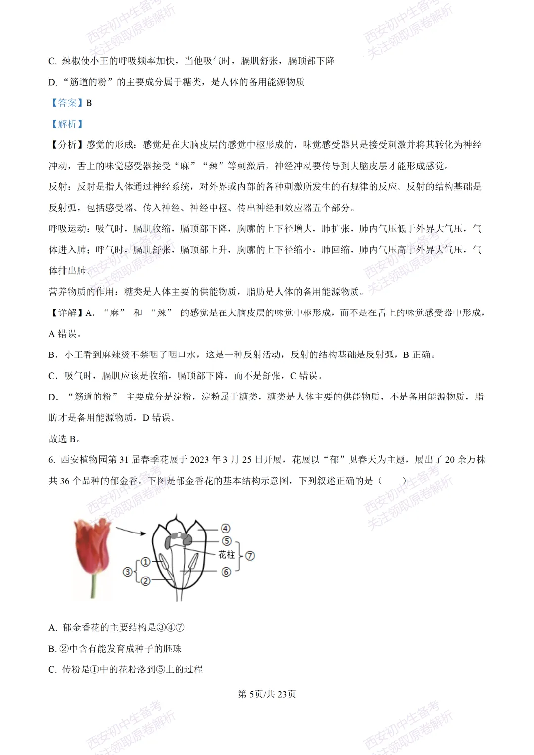 生物复习真题!西安2025中考模拟【高新一中】八年级五模考试,生物试题,试卷+完整版答案,免费下载! 第23张