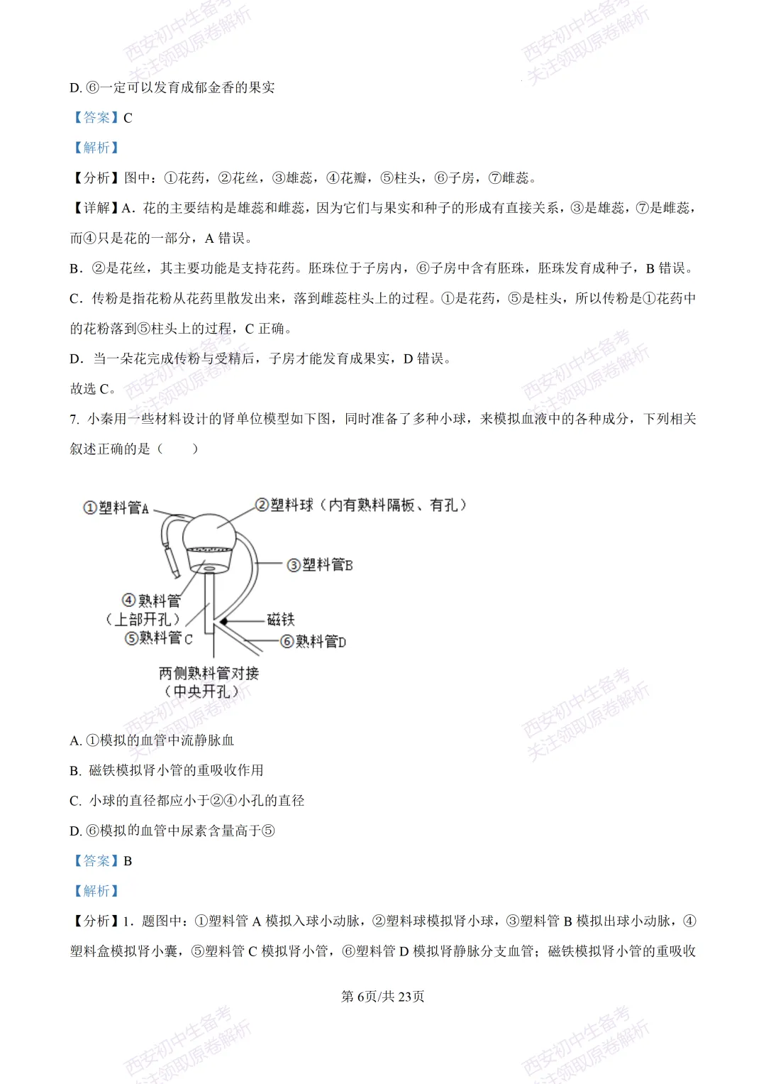 生物复习真题!西安2025中考模拟【高新一中】八年级五模考试,生物试题,试卷+完整版答案,免费下载! 第24张