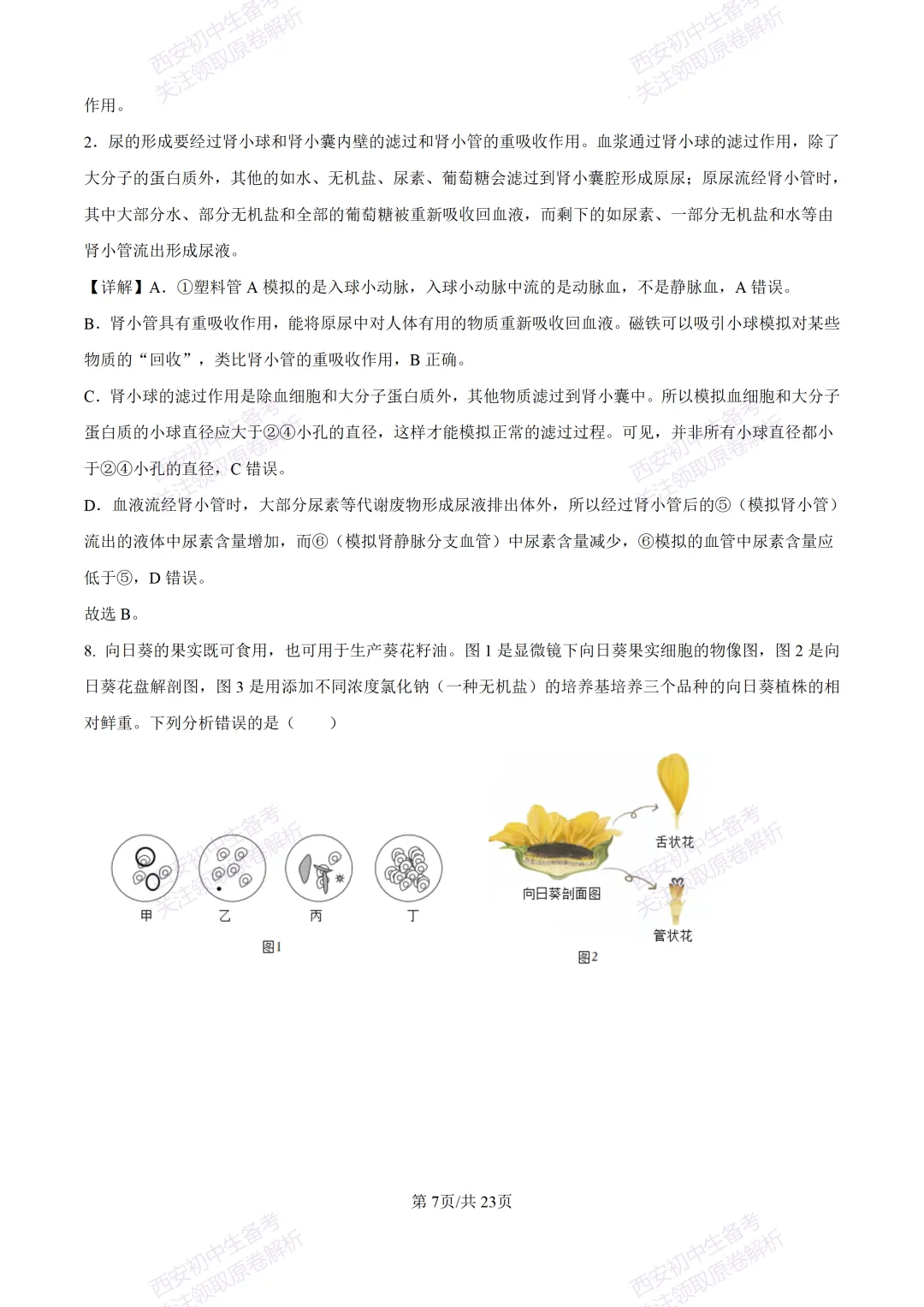 生物复习真题!西安2025中考模拟【高新一中】八年级五模考试,生物试题,试卷+完整版答案,免费下载! 第25张